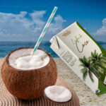 LECHE-DE-COCO-750×750